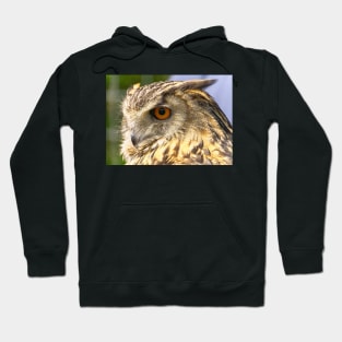 Eagle Owl Portrait Hoodie